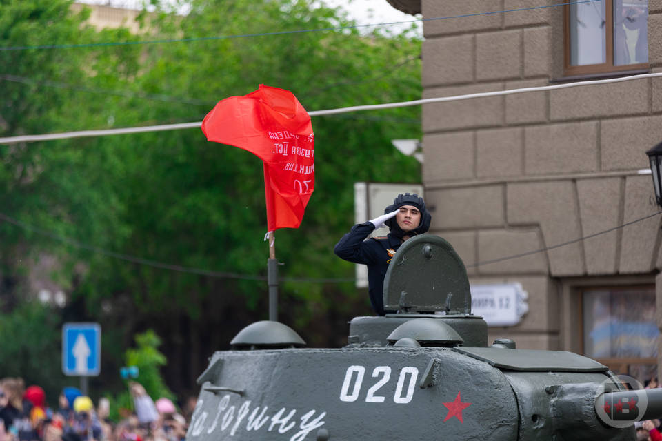 В Волгоградской облдуме вернутся к законопроекту о детях войны