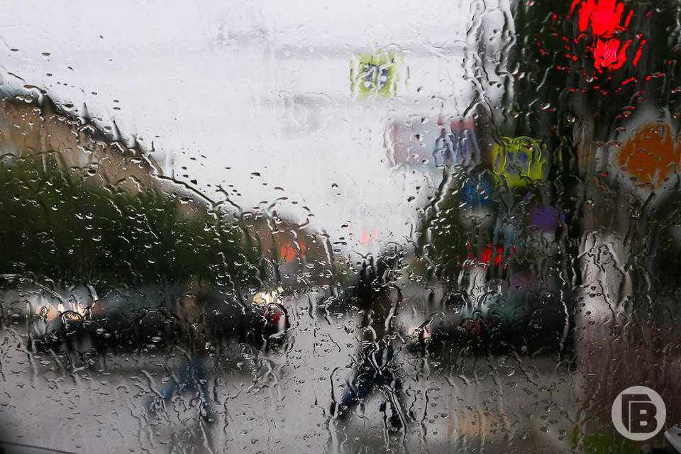 Дожди и грозы будут властвовать в Волгоградской области 16 апреля