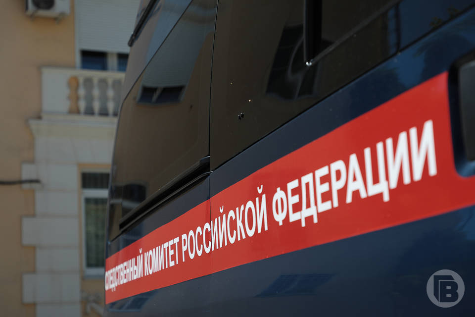Бастрыкин требует доклад об ограблении избитого участника СВО в Волгограде