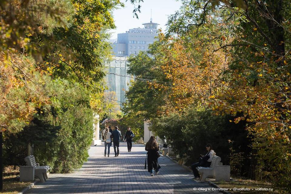 Буйство красок: любуемся октябрьским Волгоградом