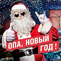 Елки-палки, Новый год!