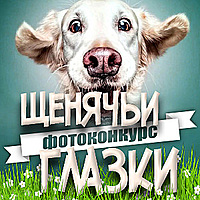 «Щенячьи глазки»
