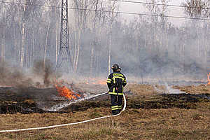 В Волгоградской области из-за жары введен особый противопожарный режим
