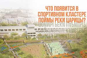 Инфографика предоставлена МАУ "Центр компетенций по вопросам городской среды Волгограда "ВЯЗ"